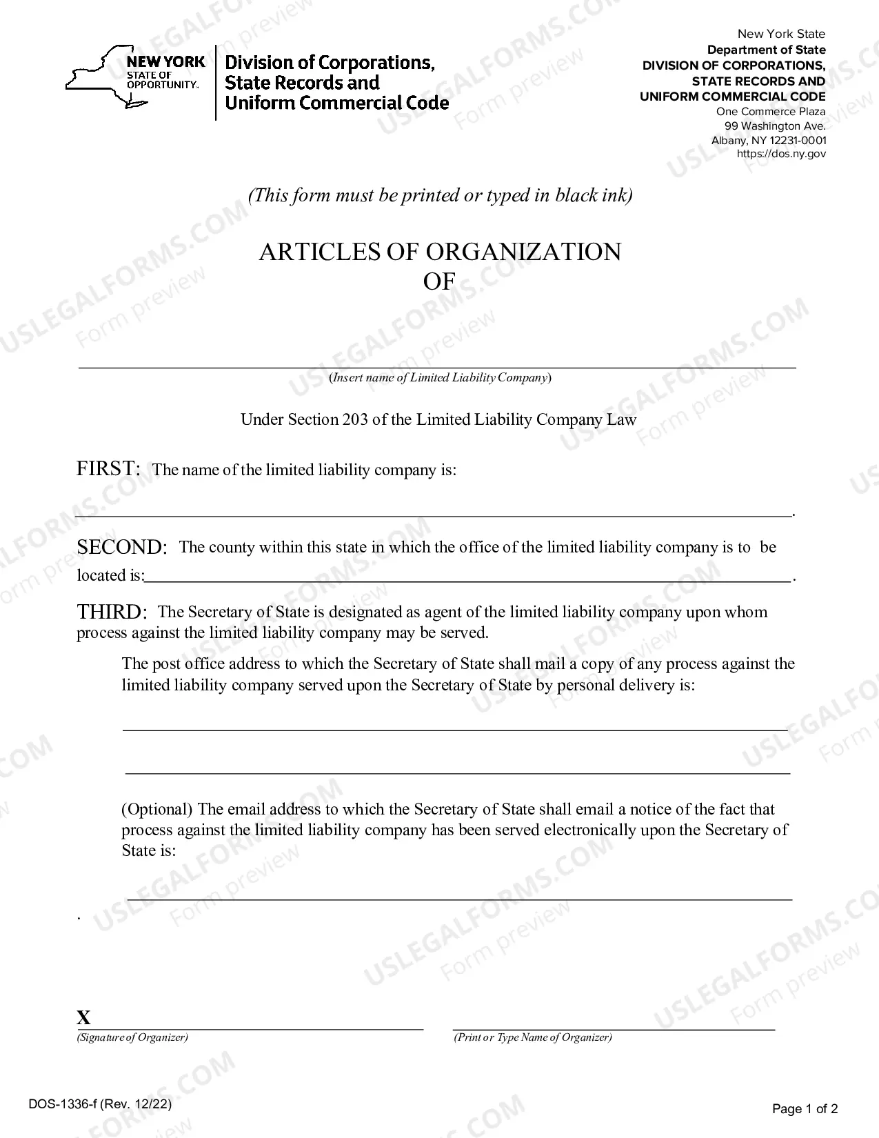 Preview New York Articles of Organization for Domestic Limited Liability Company LLC