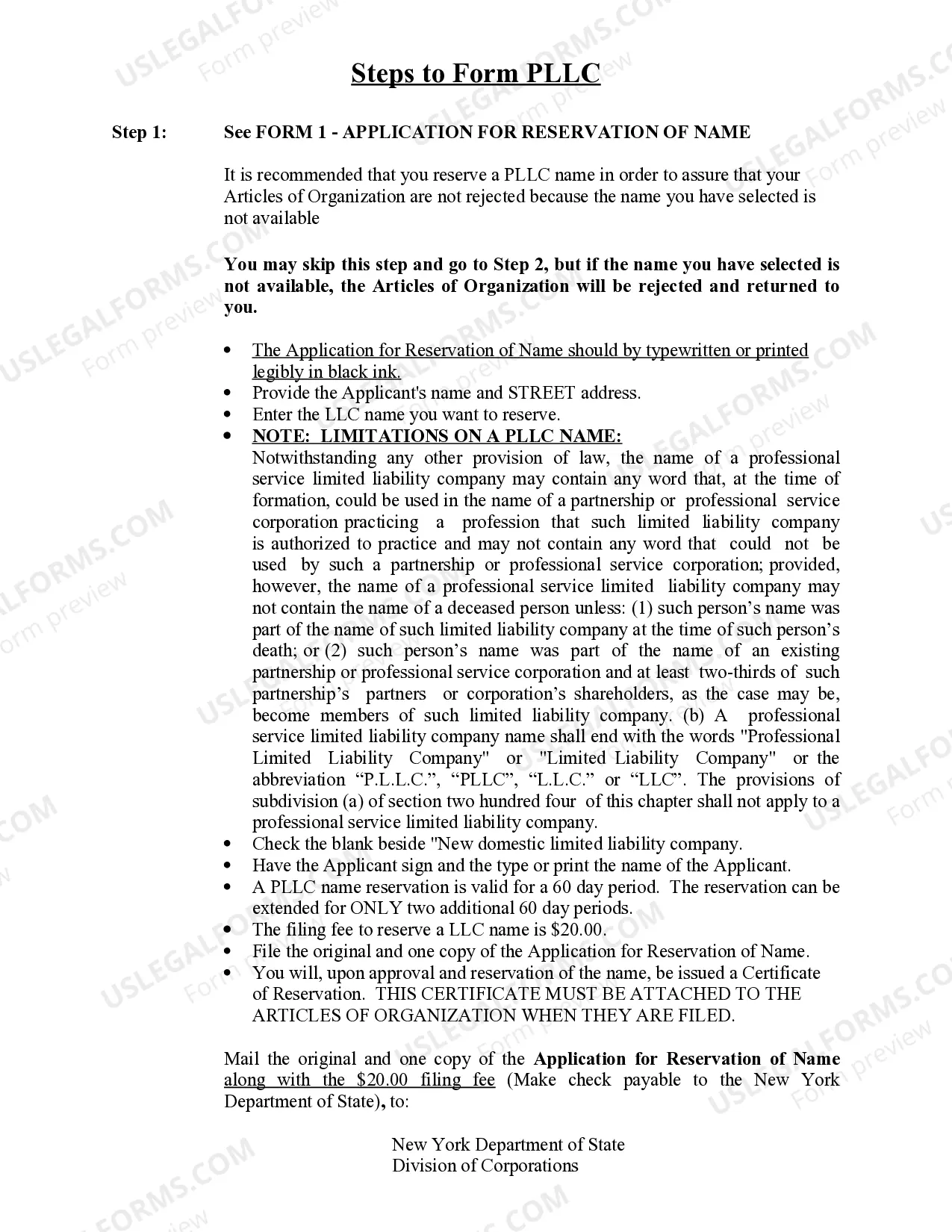 Preview New York Professional Limited Liability Company PLLC Formation Package