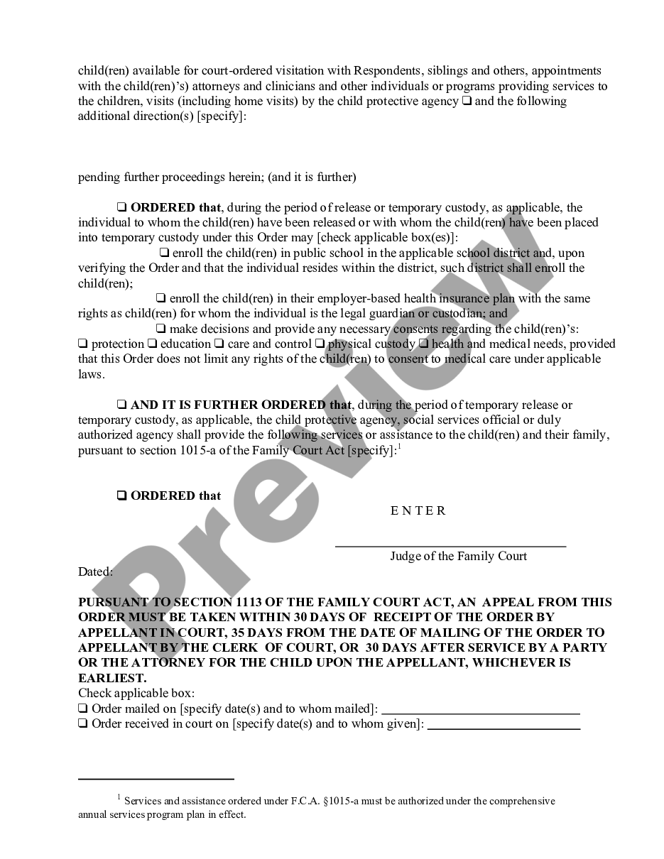 form Child Protective - Order Terminating Remand preview