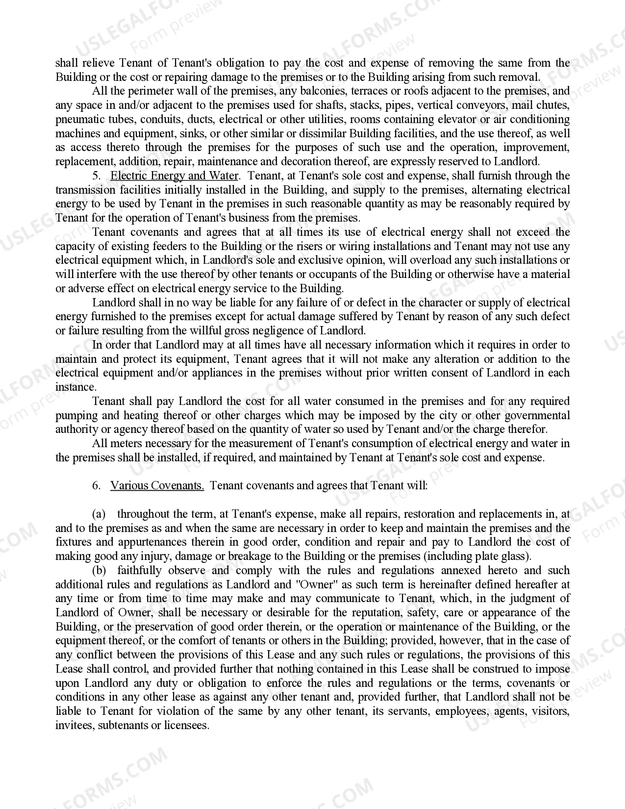 Preview New york Store Lease Agreement