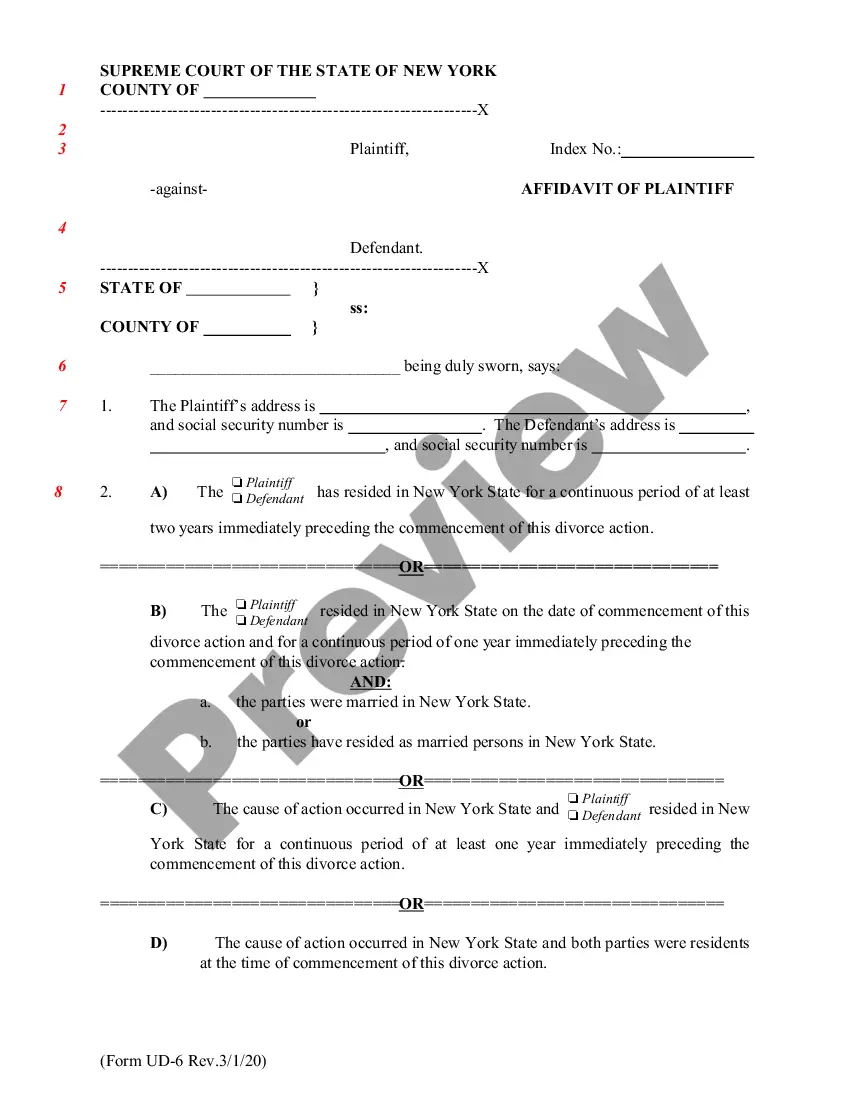 Bronx New York Affidavit of Plaintiff - Affidavit Of Irretrievable ...