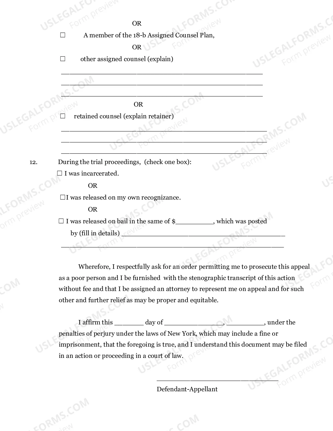 Preview Criminal Poor Person Application