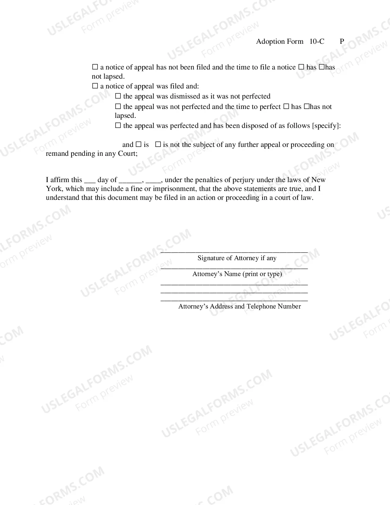 Preview Affirmation of No Appeal