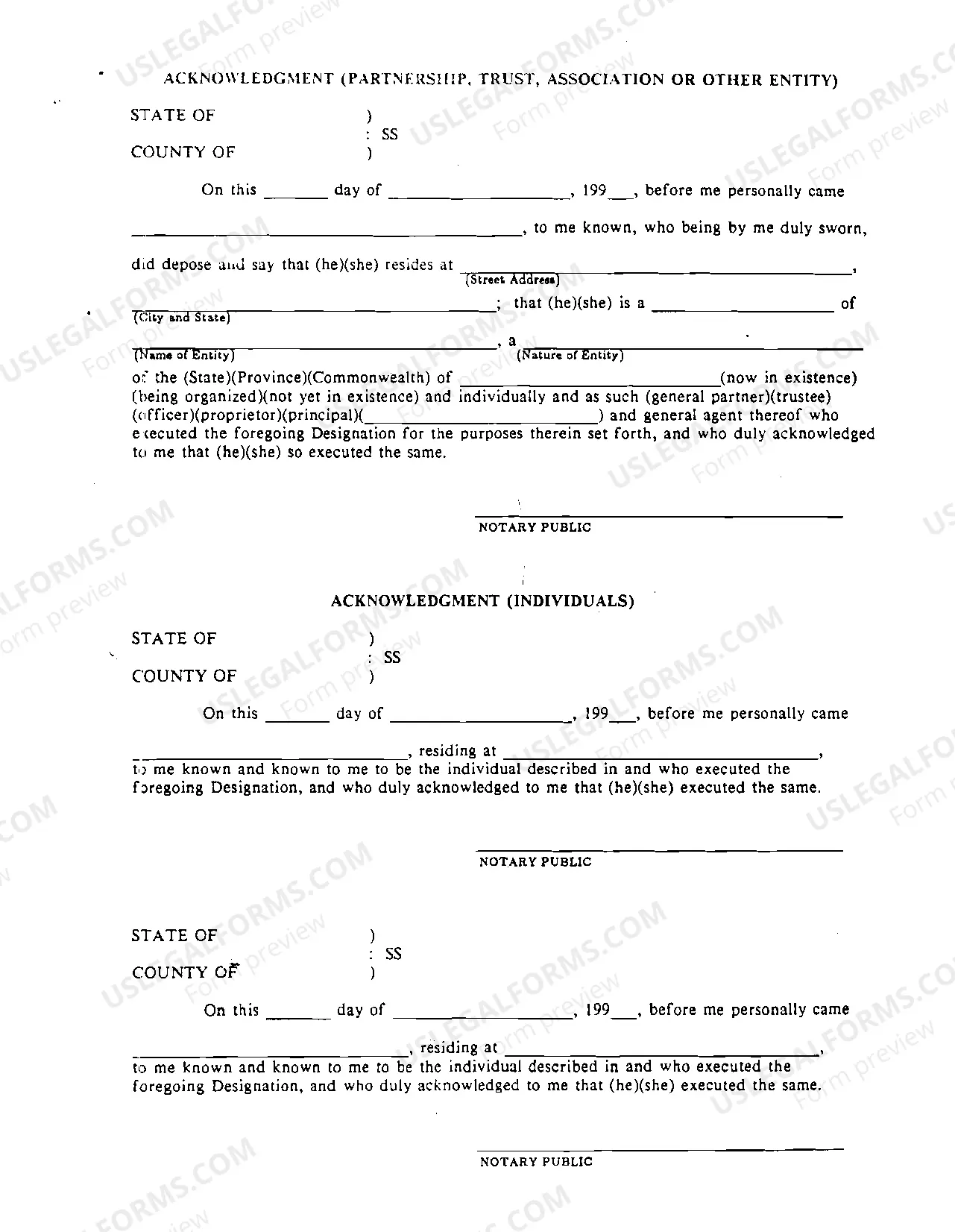 Preview Instructions For Filing Designation of Secretary of State