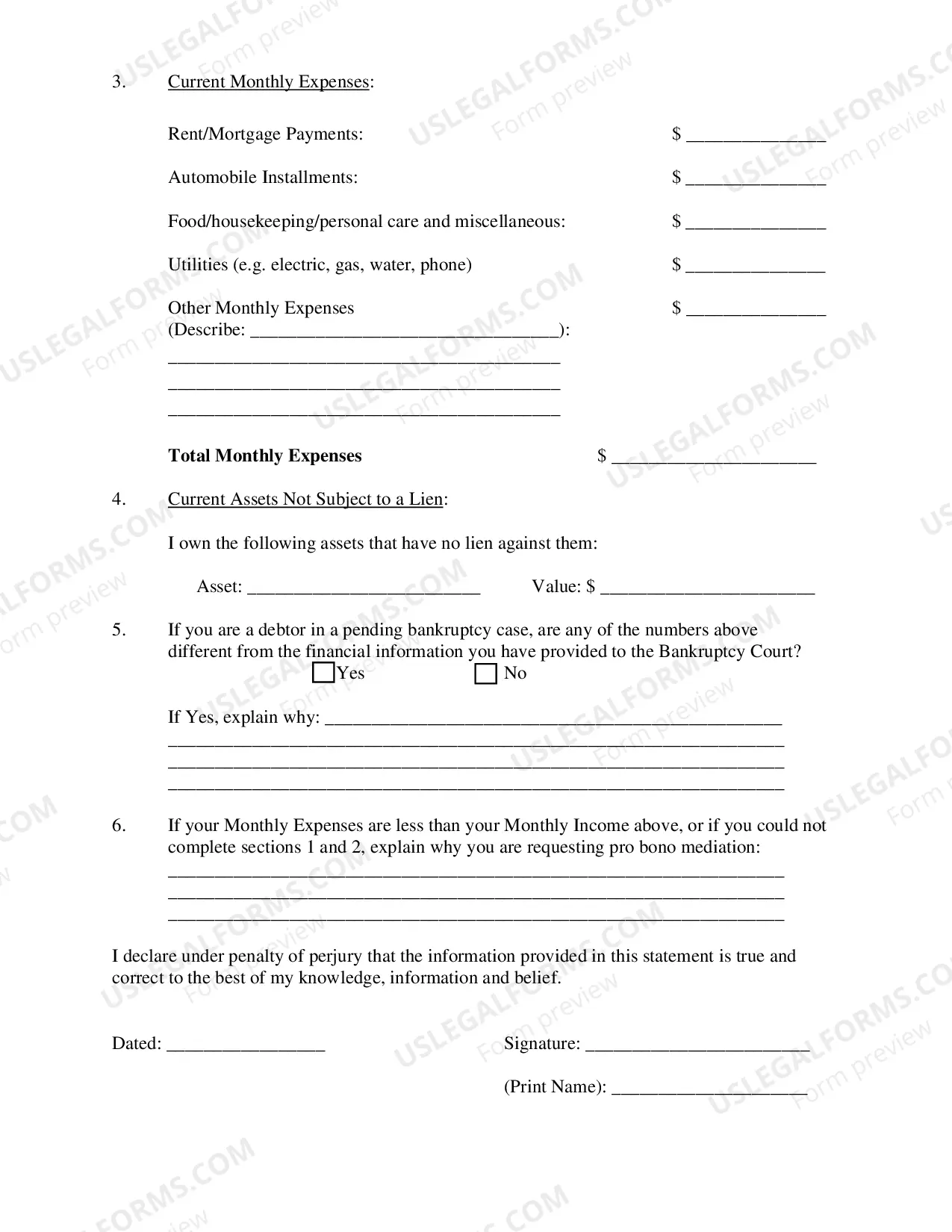 Preview Declaration of Financial Need In Support of Application for Pro Bono Mediation