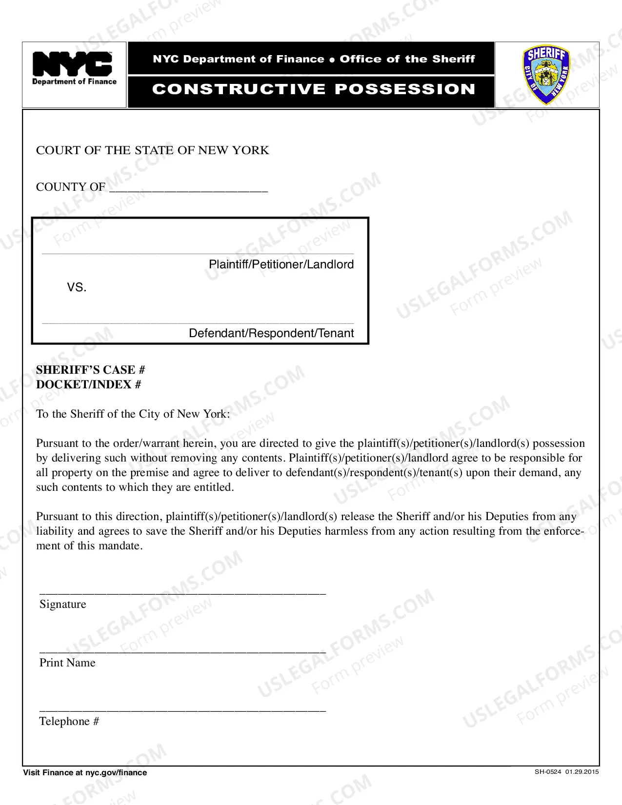 Preview Eviction Intake Sheet