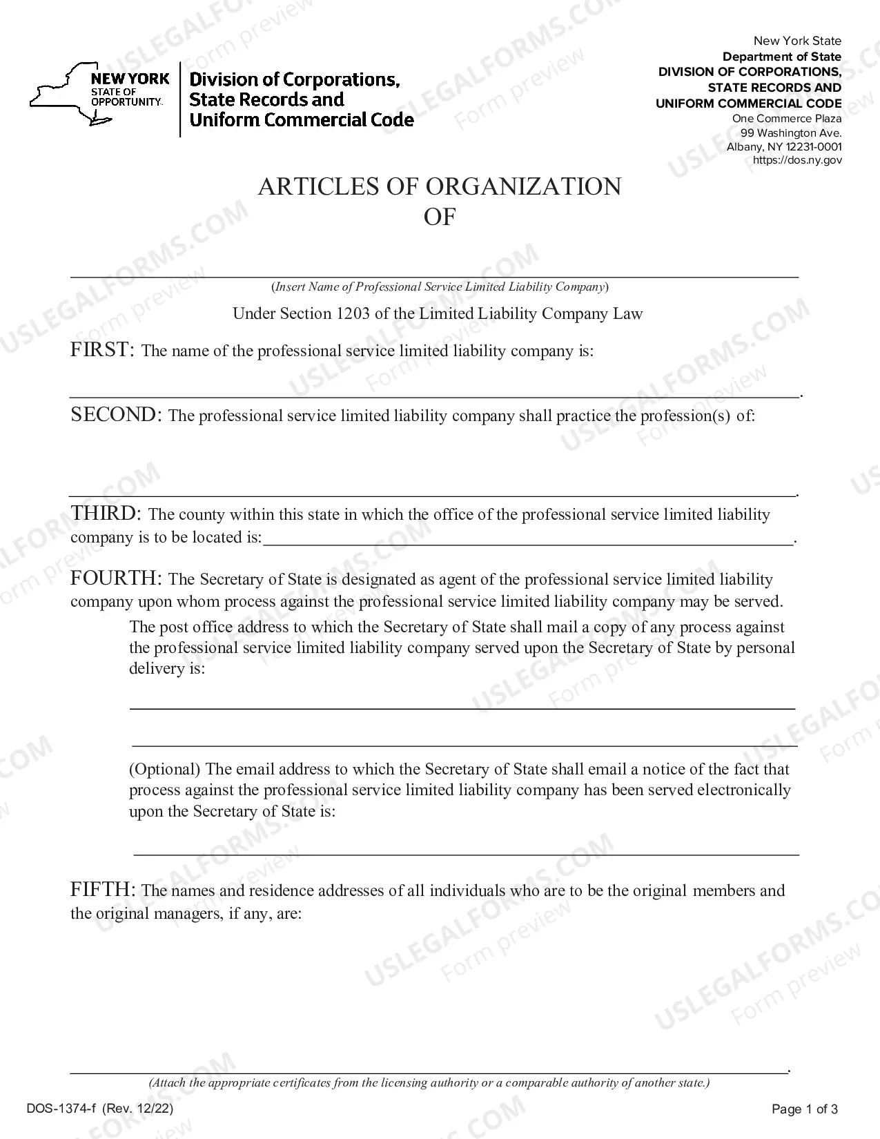 Preview Articles of Organization (Professional Service LLC)