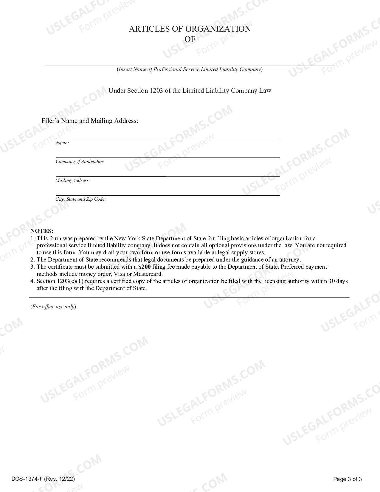 Preview Articles of Organization (Professional Service LLC)