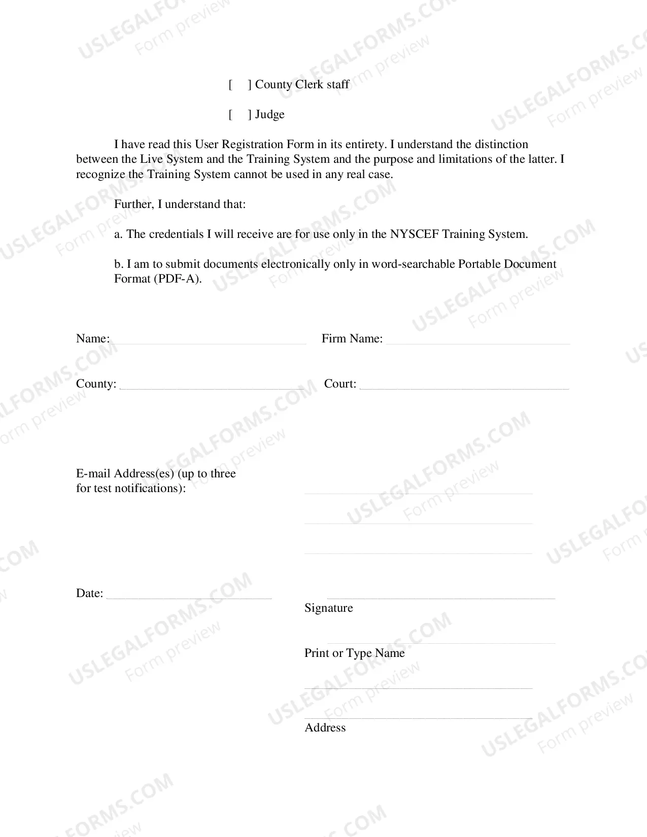 Preview E-Filing User Registration Form to Access the Training E-Filing System