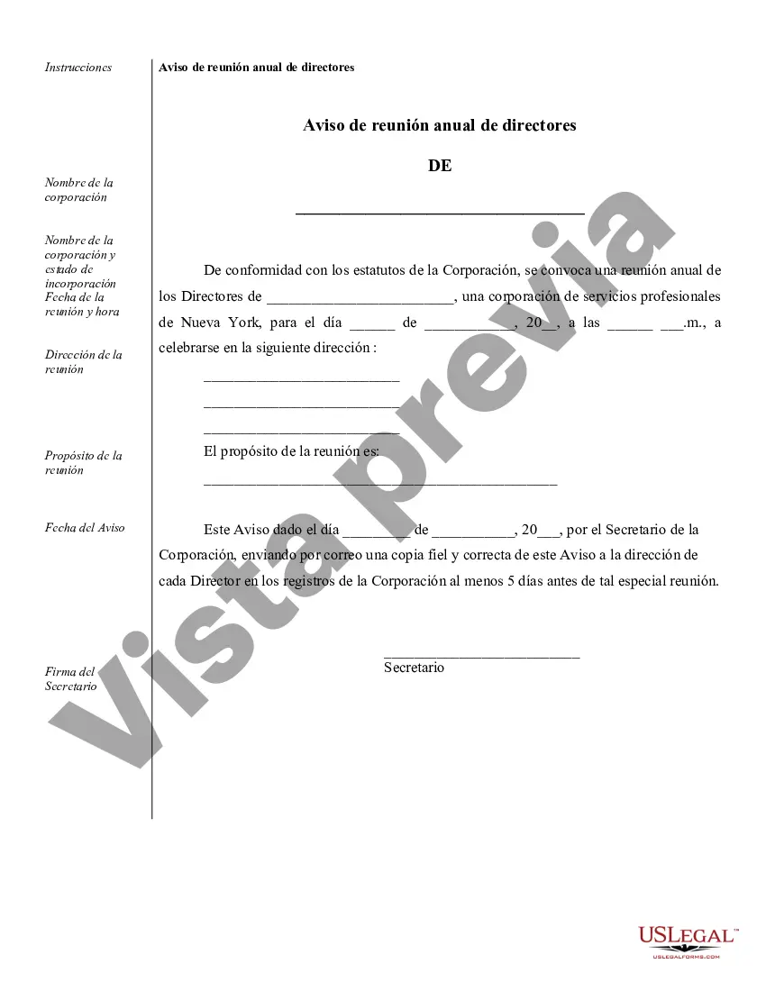 Preview Ejemplos de Resoluciones Corporativas para una Corporación de Servicios Profesionales de Nueva York