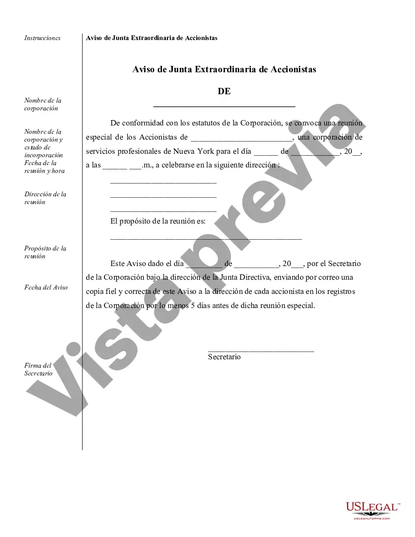Preview Ejemplos de Resoluciones Corporativas para una Corporación de Servicios Profesionales de Nueva York