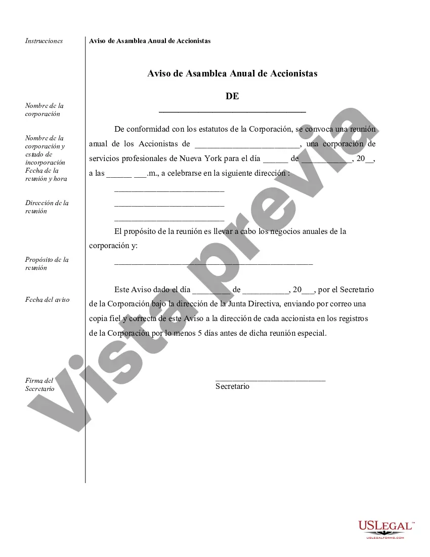 Preview Ejemplos de Resoluciones Corporativas para una Corporación de Servicios Profesionales de Nueva York