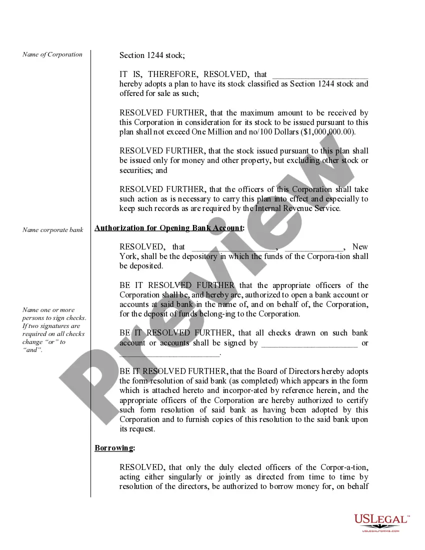 Preview Organizational Minutes for a Professional Service Corporation