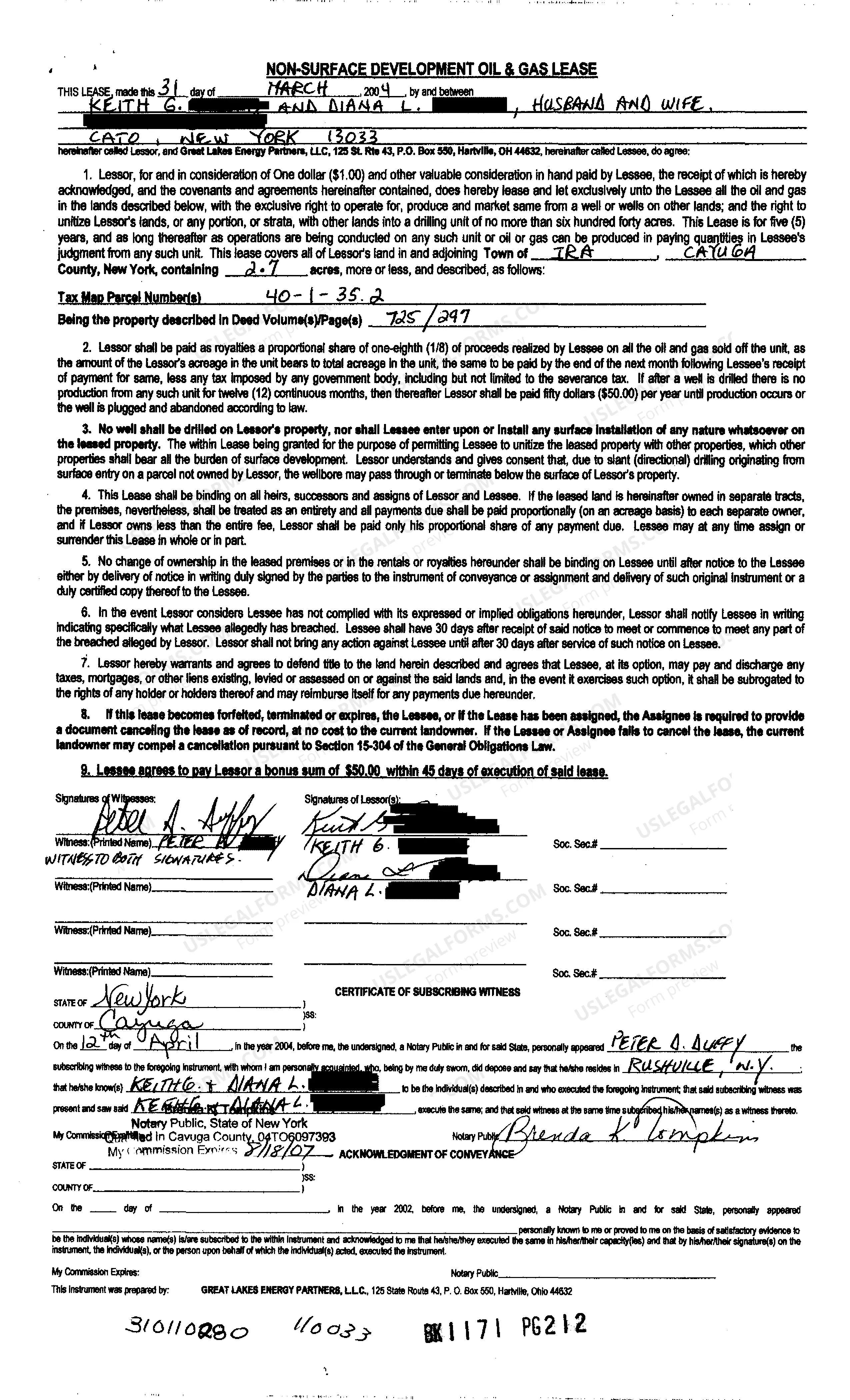 Preview Non-Surface Oil and Gas Lease