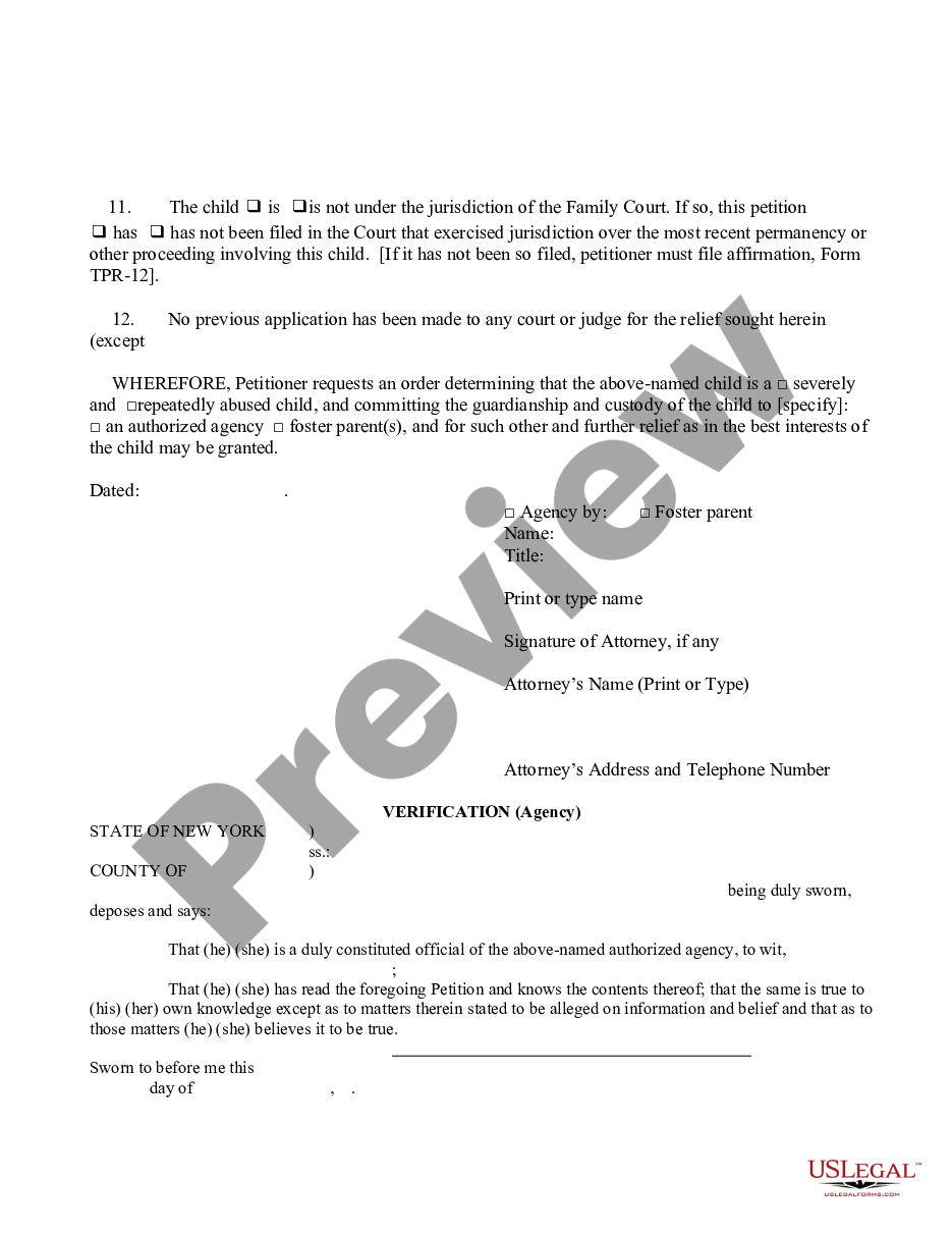 page 2 Petition - Severely or Repeatedly Abused Child preview