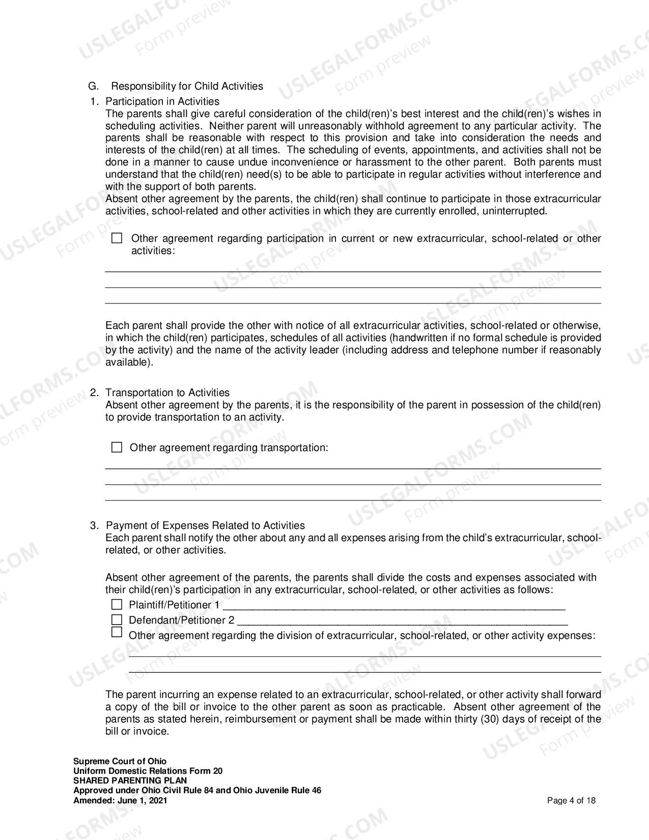 Preview Shared Parenting Plan