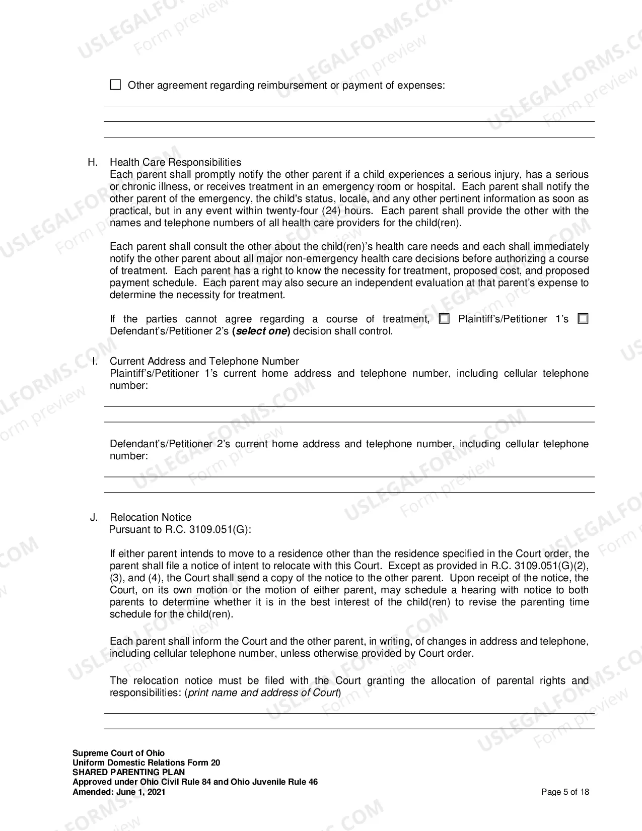 Preview Shared Parenting Plan