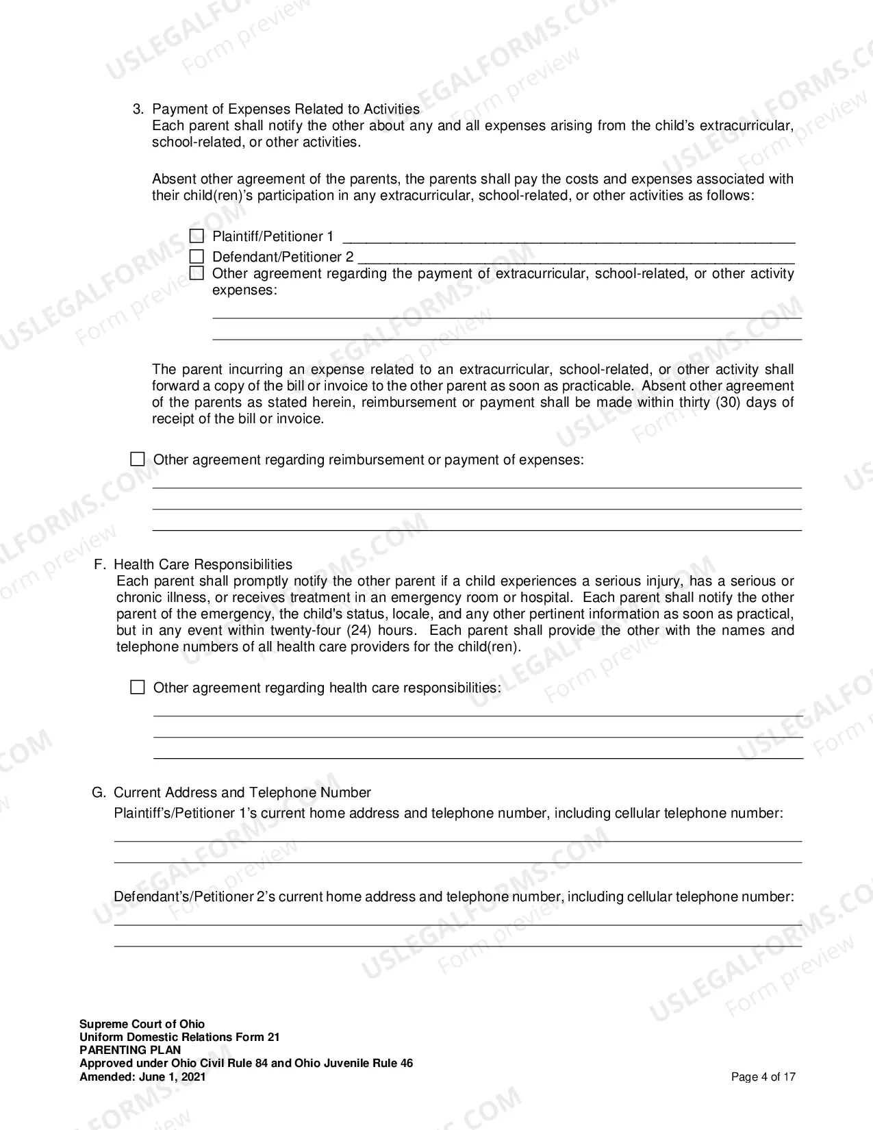 Preview Parenting Plan