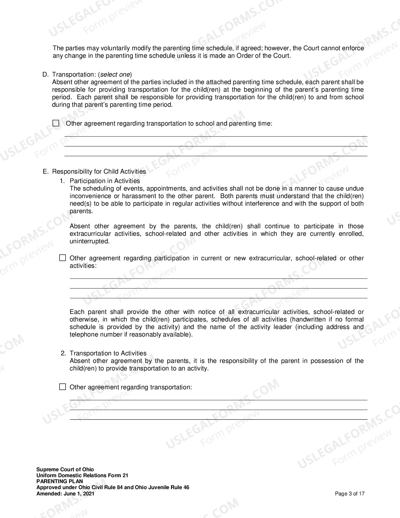 Preview Shared Parenting Plan