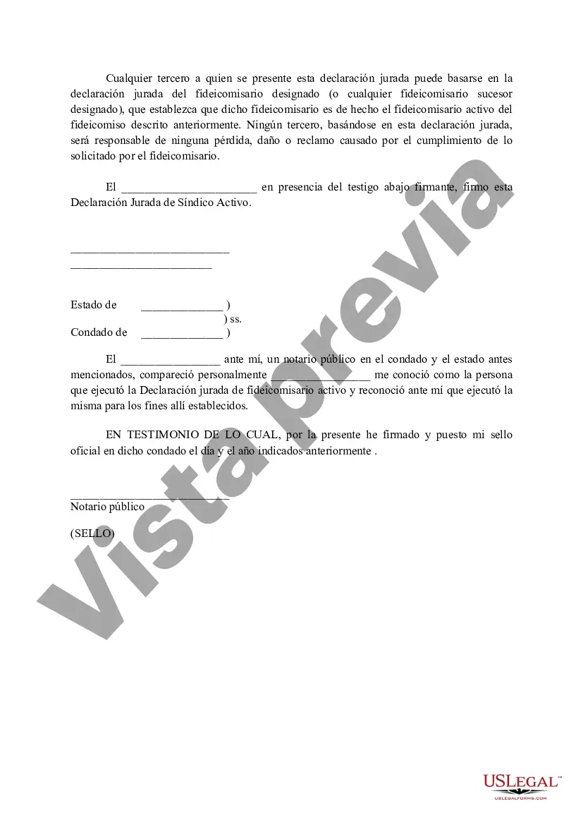 Preview Declaración Jurada de Síndico Activo