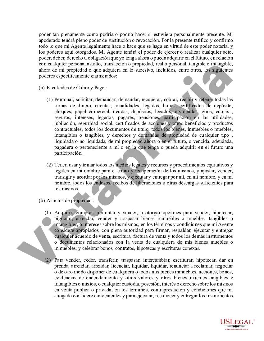 Preview Poder general duradero para la propiedad y las finanzas o efectivo financiero en caso de incapacidad