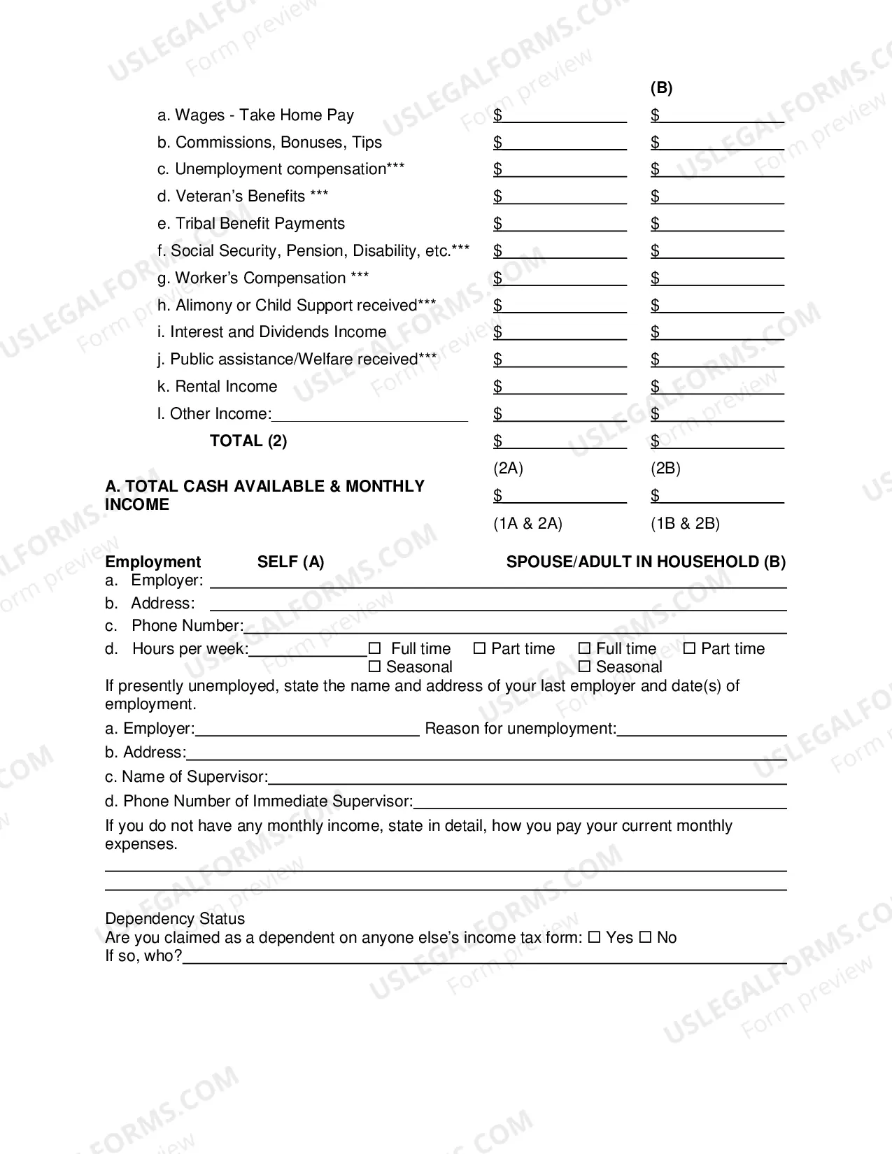 Preview Asset Disclosure Affidavit