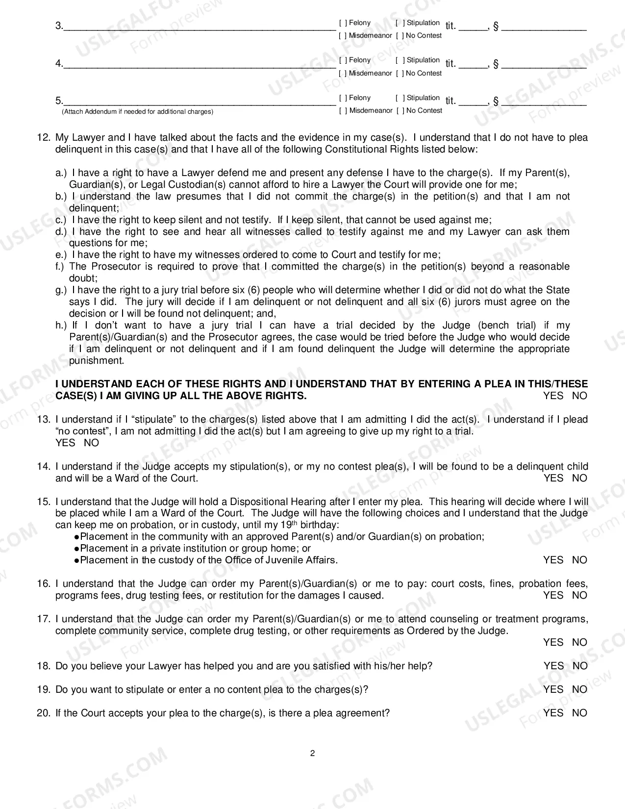 Preview Adjudication of Delinquent