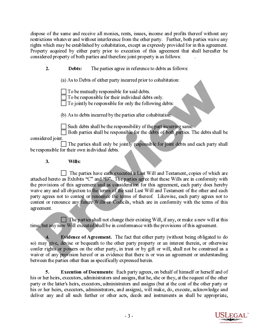 Preview Non-Marital Cohabitation Living Together Agreement