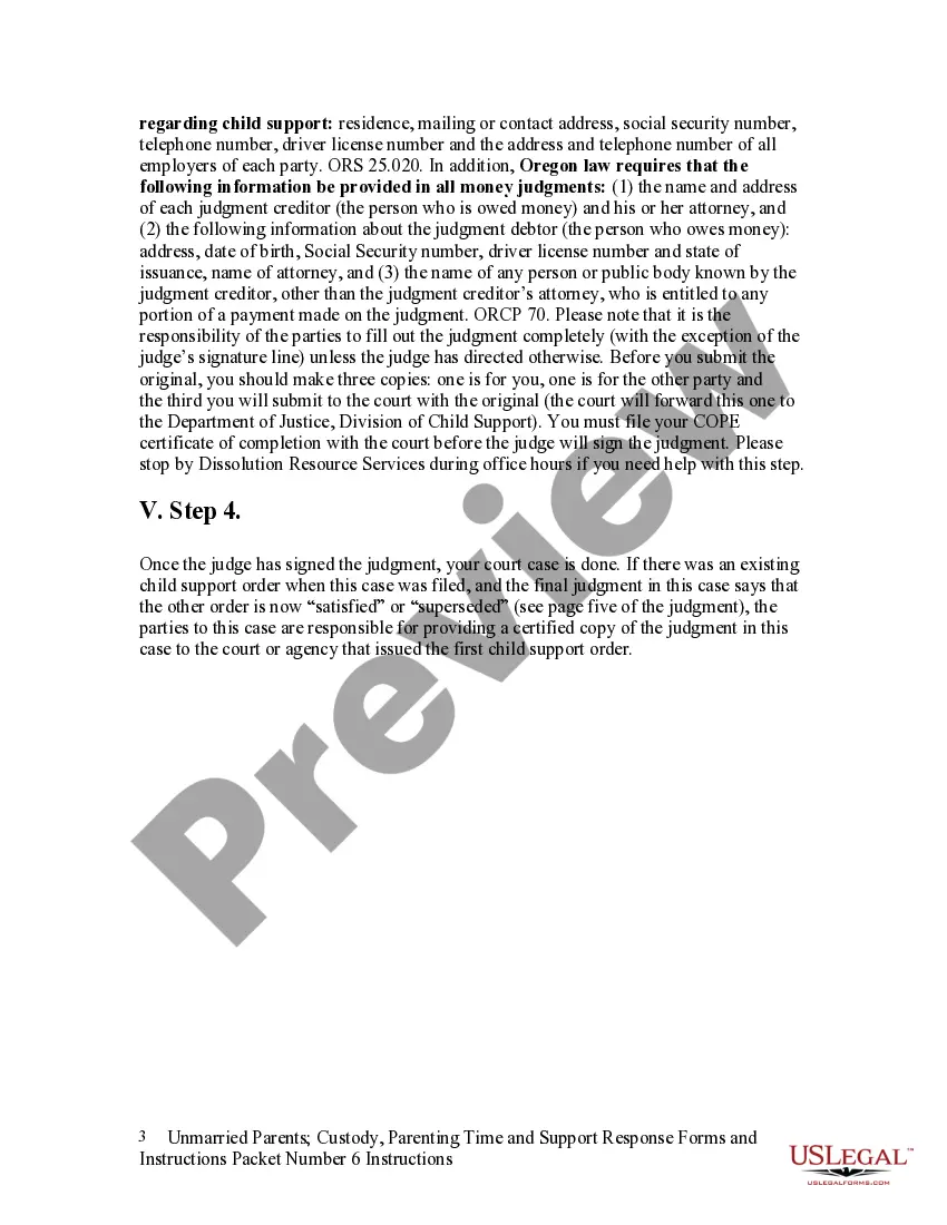 Preview Instructions for Unmarried Parents regarding Custody Parenting Time and Forms Packet 7