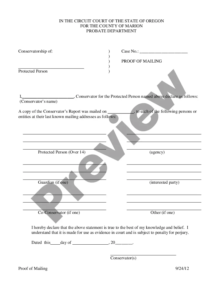 Preview Conservator's Report