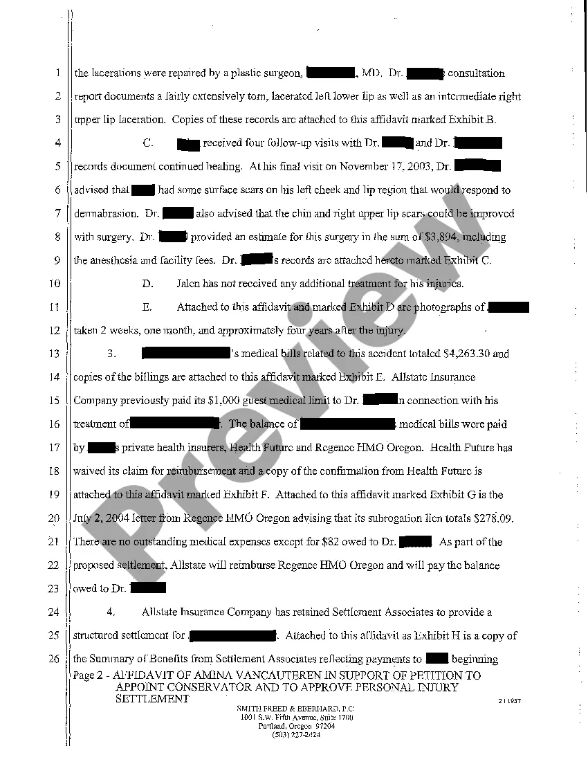 Preview A02 Affidavit In Support of Petition to Appoint Conservator and to Approve Personal Injury Settlement