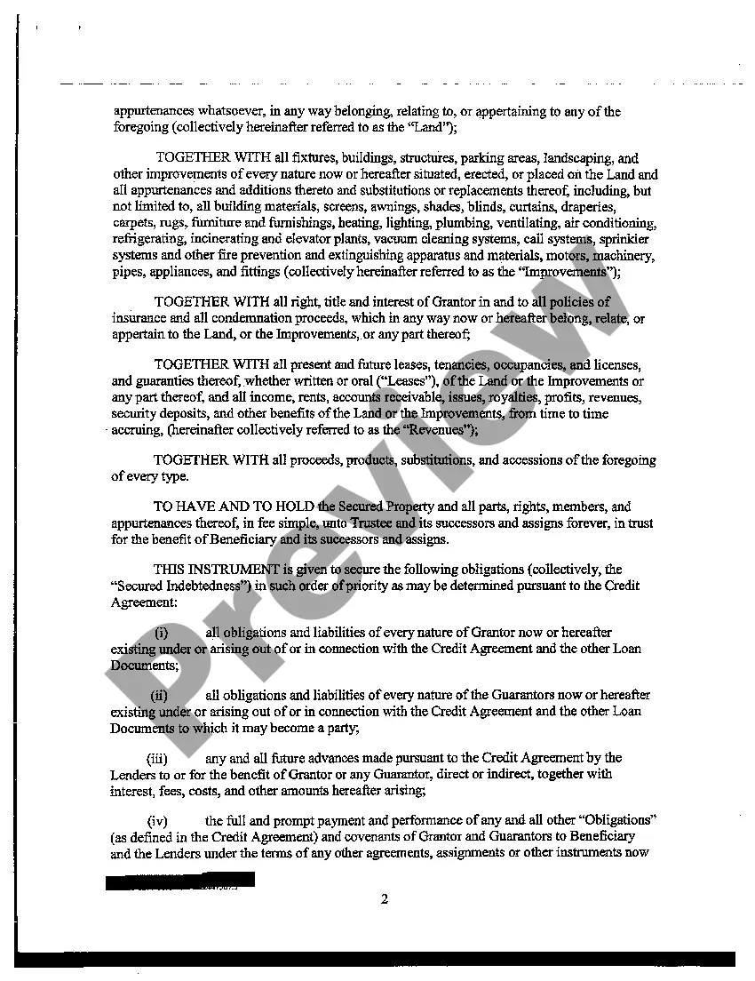 Preview Line of Credit Instrument