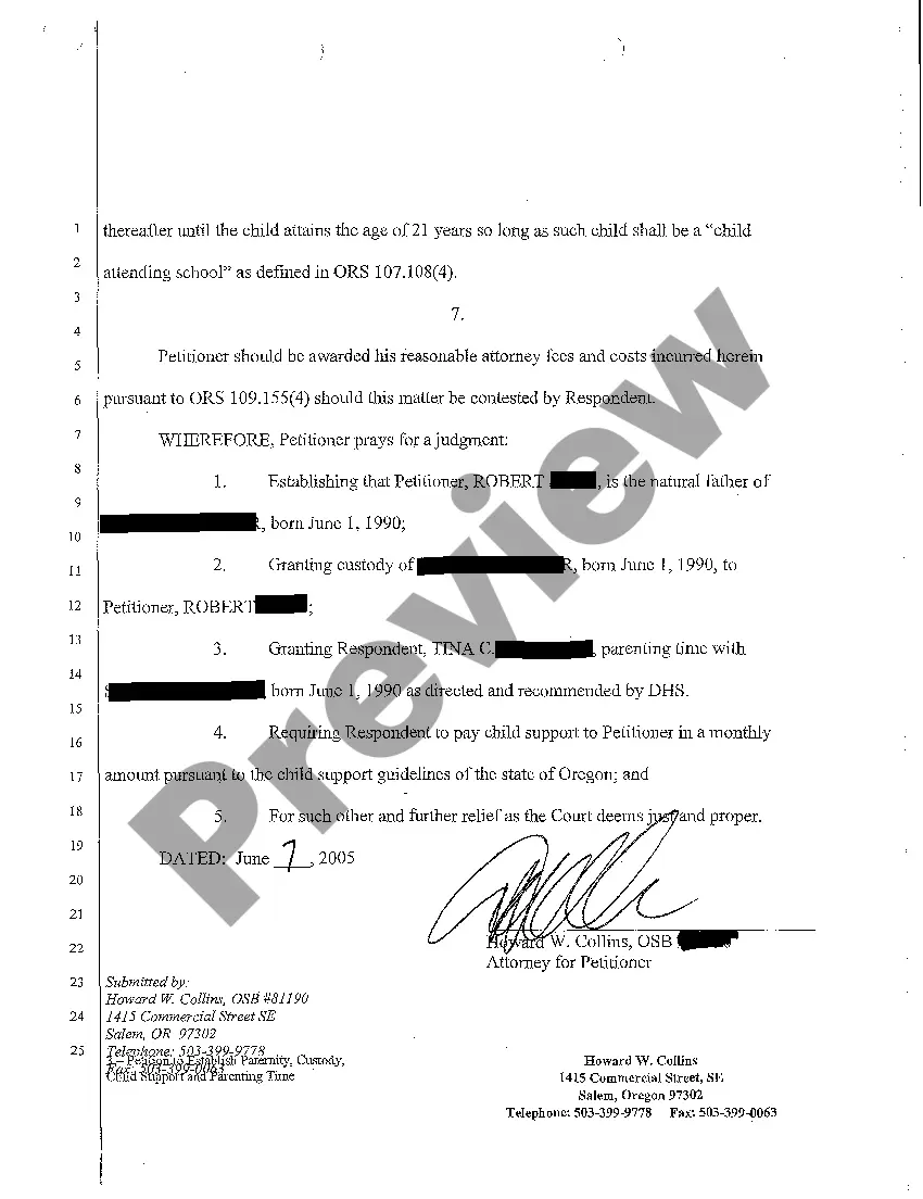 Preview A02 Petition To Establish Paternity, Custody, Child Support and Parenting Time