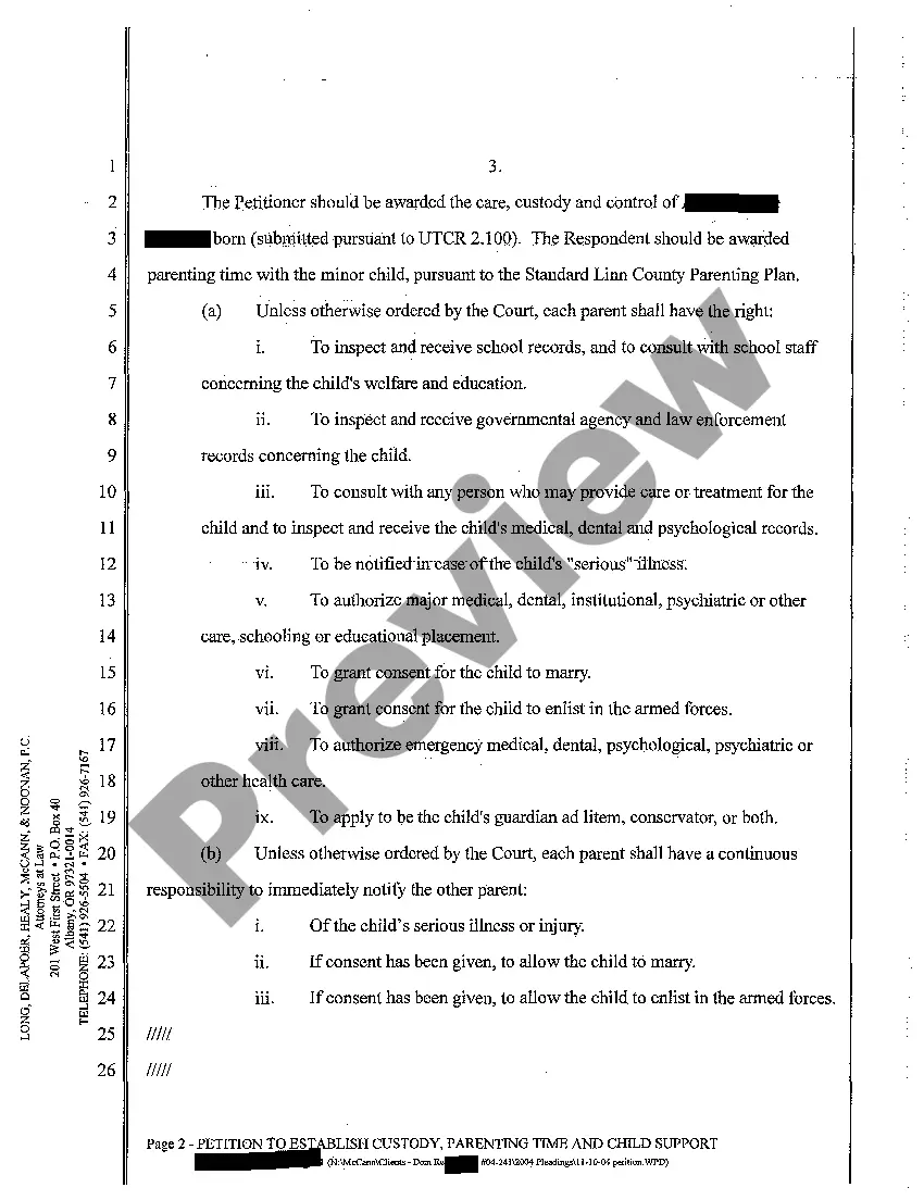 Preview A01 Petition To Establish Custody, Parenting Time and Child Support