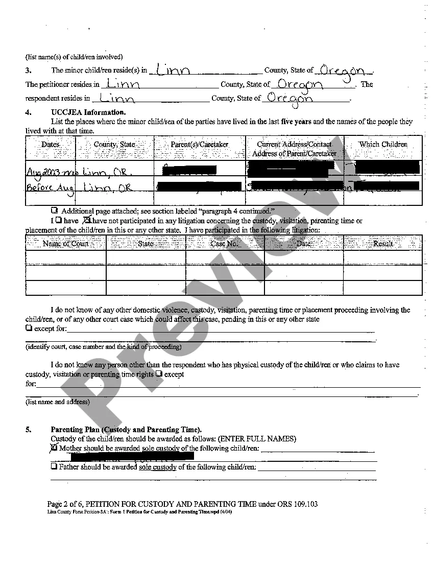 Preview A01 Petition For Custody and Parenting Time