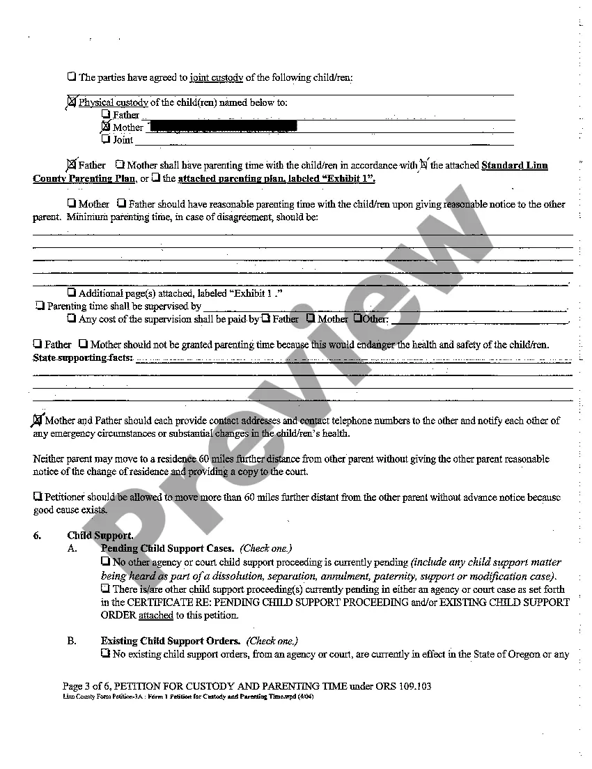 Preview A01 Petition For Custody and Parenting Time