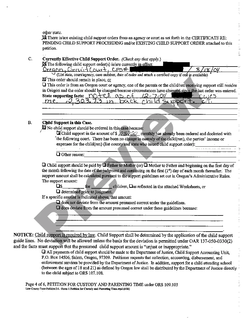 Preview A01 Petition For Custody and Parenting Time