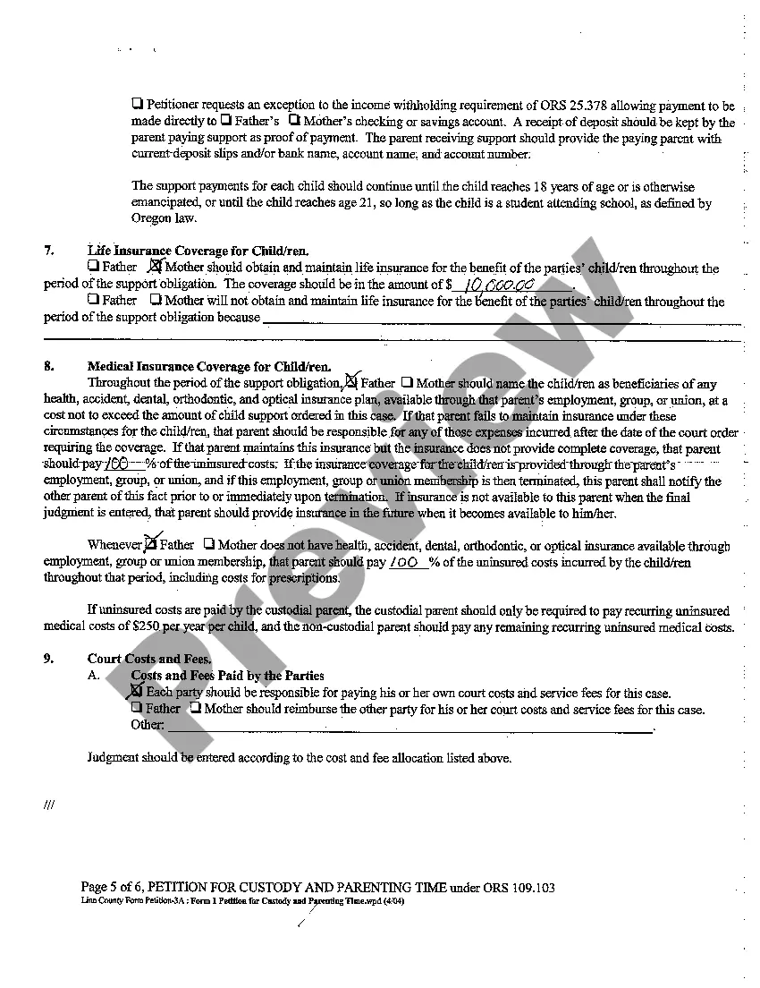 Preview A01 Petition For Custody and Parenting Time