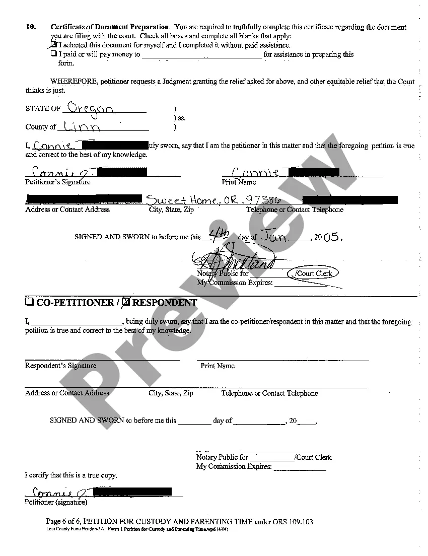 Preview A01 Petition For Custody and Parenting Time