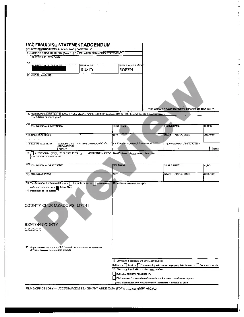 Preview UCC Financing Statement