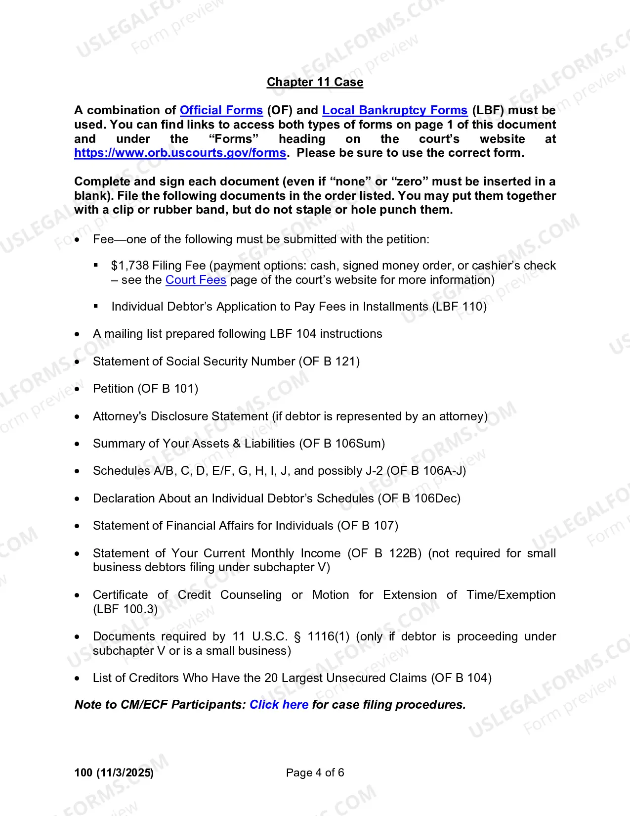 Preview Instructions for Filing an Individual Bankruptcy Case