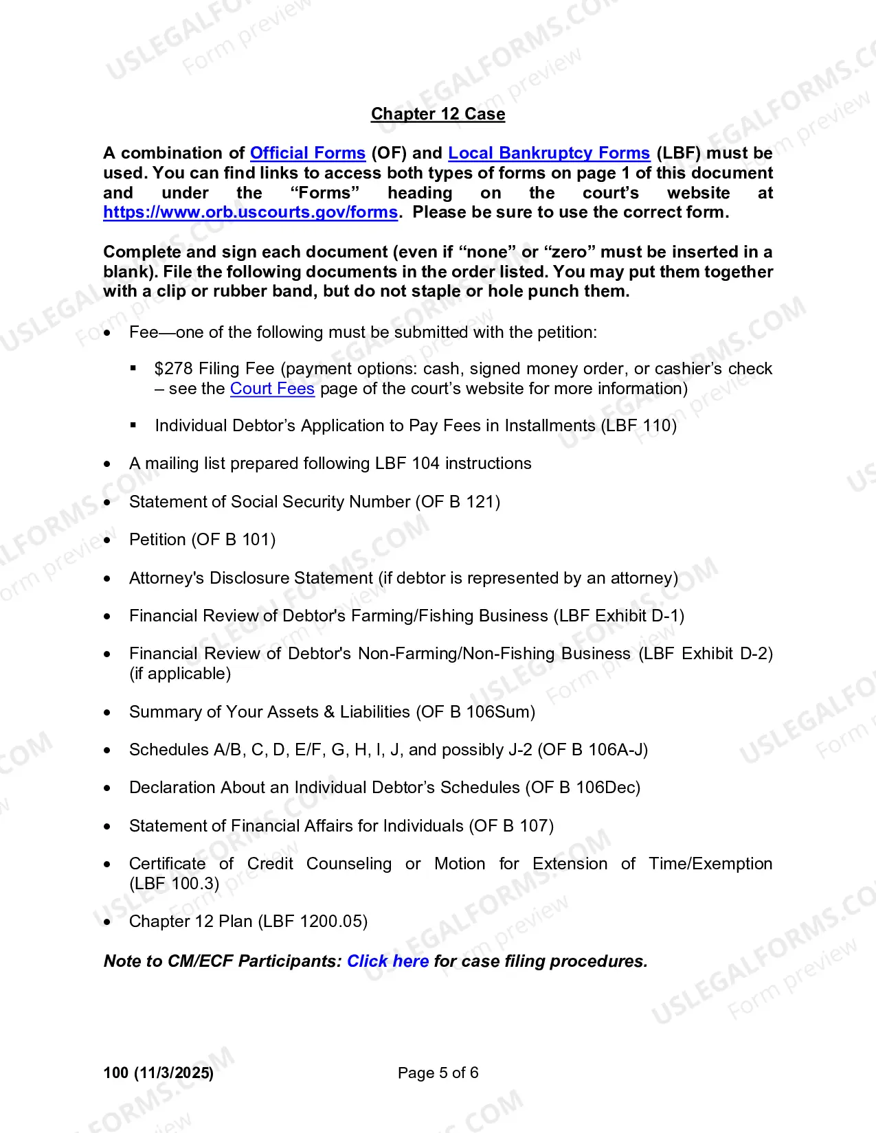 Preview Instructions for Filing an Individual Bankruptcy Case