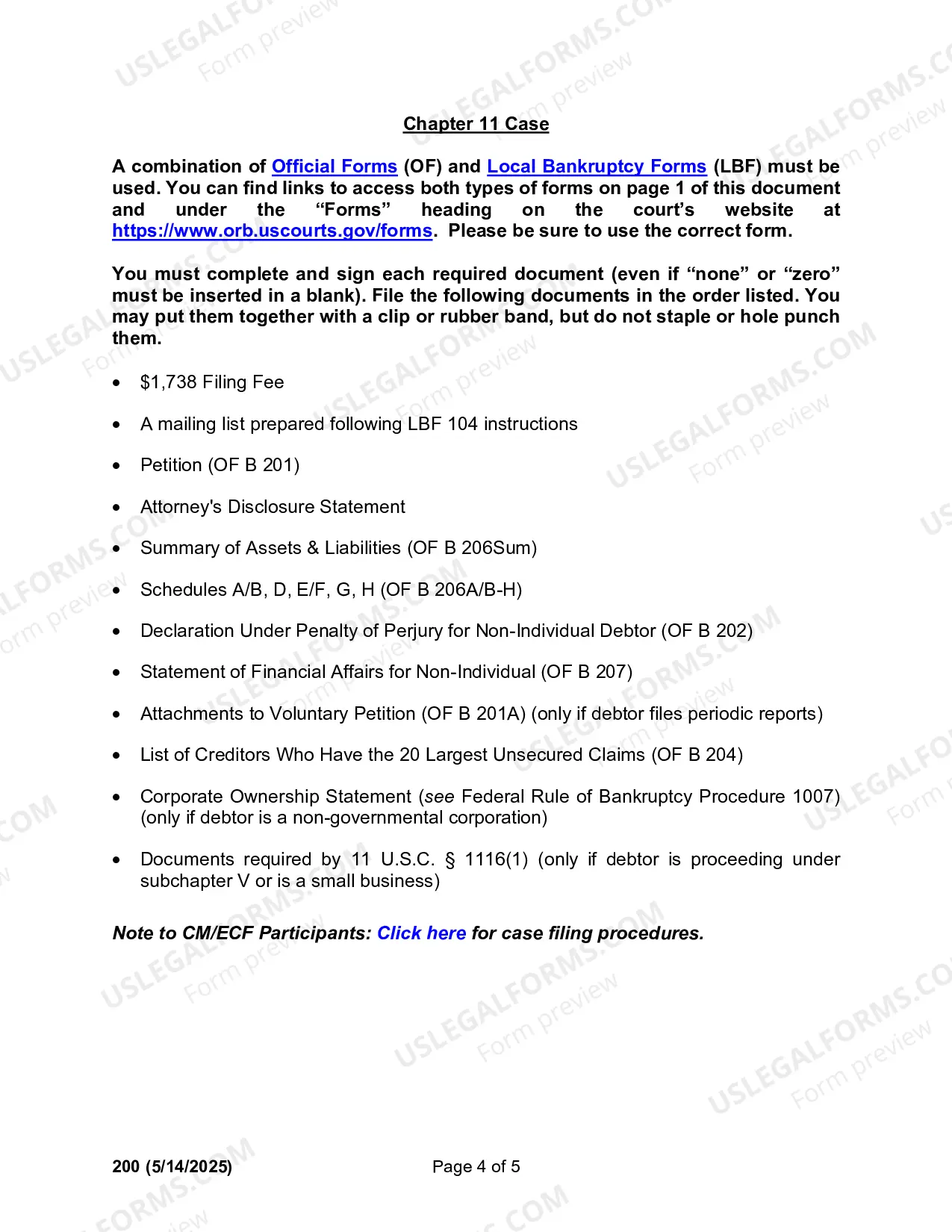 Preview Instructions for Filing a Non-Individual Bankruptcy Case