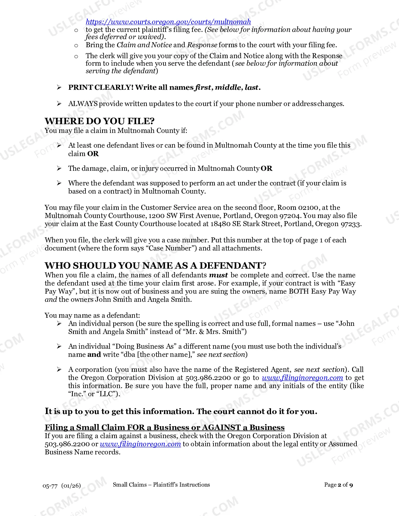 Preview Plaintiff's Instructions