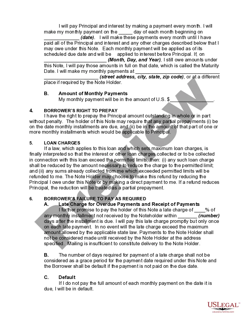 Preview Pennsylvania Promissory Note on Pre-Existing and New Indebtedness