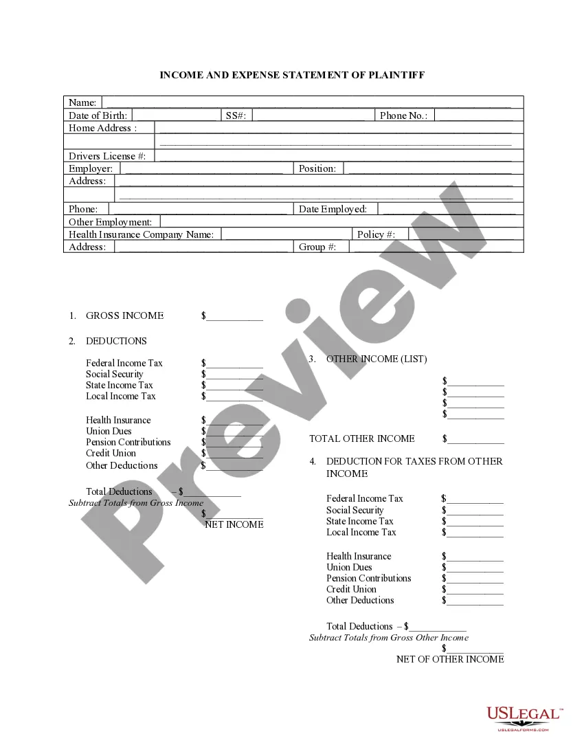 Preview Income and Expense Statement for Plaintiff