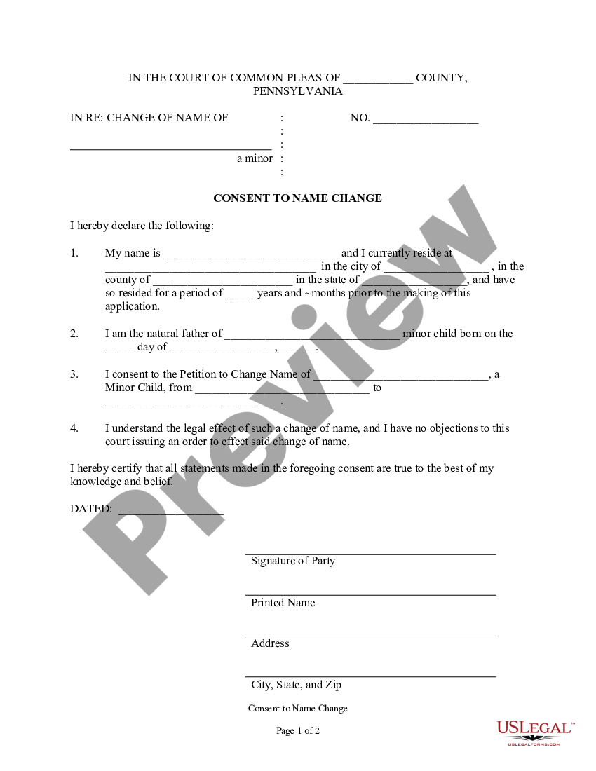 judicial consent form