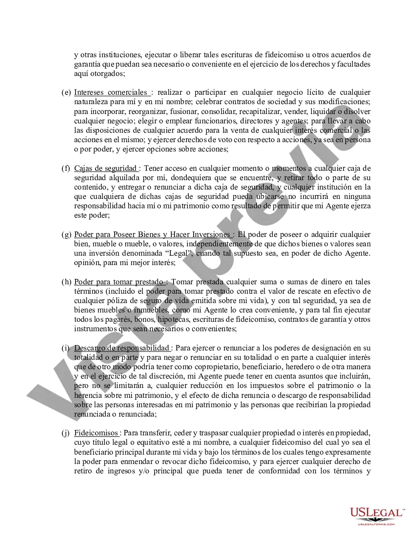 Preview Poder general duradero para la propiedad y las finanzas o efectivo financiero en caso de incapacidad