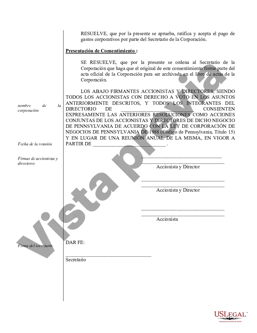 Preview Minutos anuales para una corporación profesional de Pensilvania