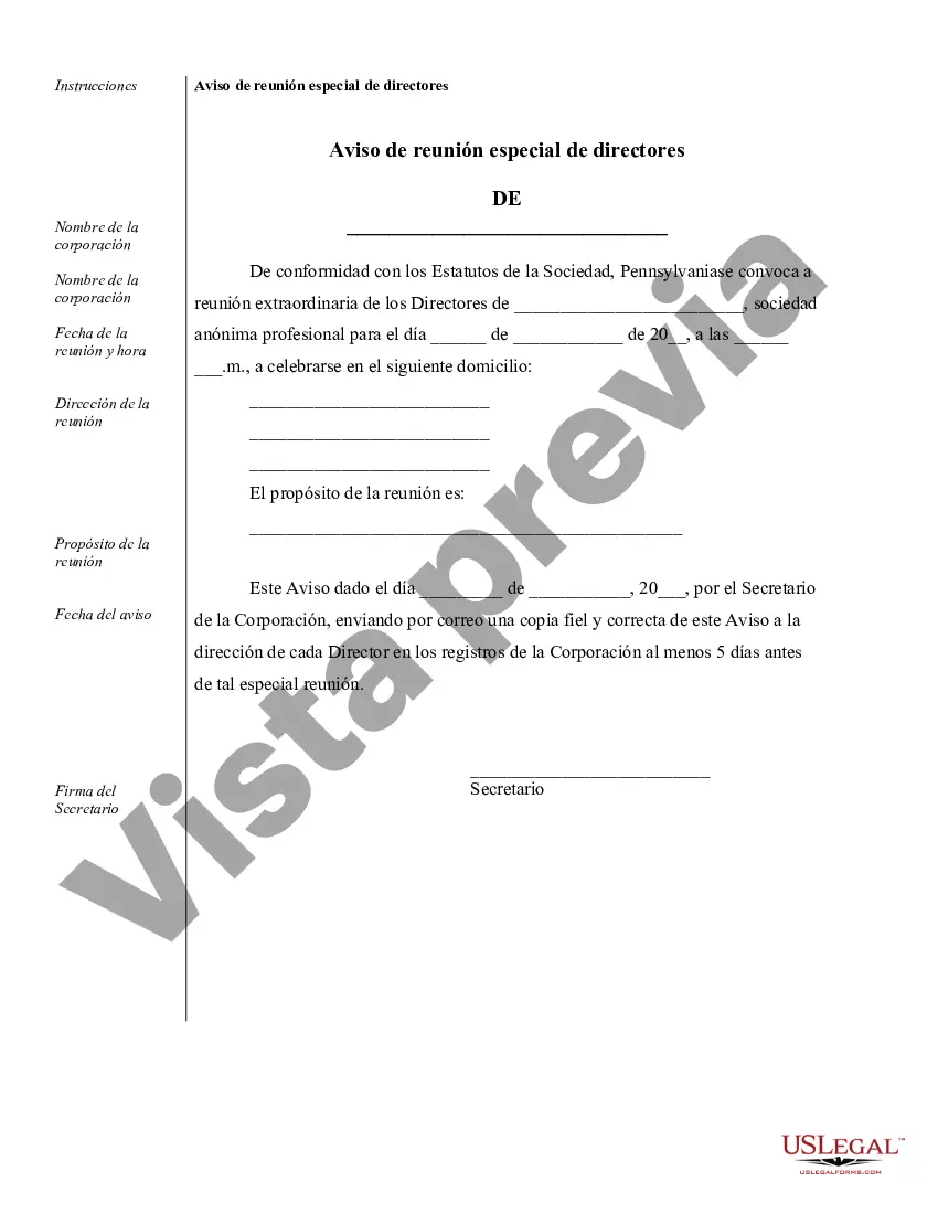 Preview Ejemplos de registros corporativos para una corporación profesional de Pensilvania